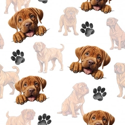 Doga