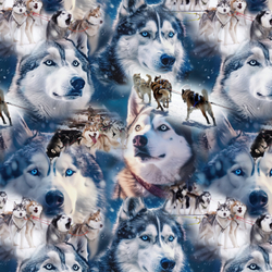 Husky